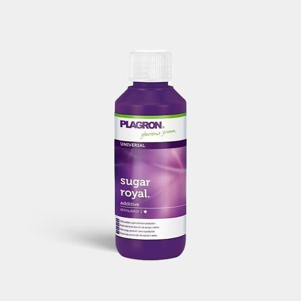 Sugar Royal Plagron