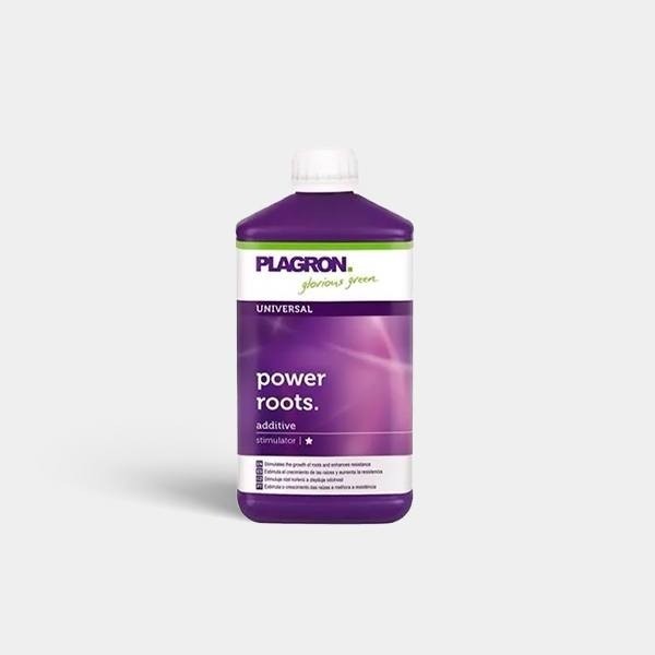 Power Roots Plagron