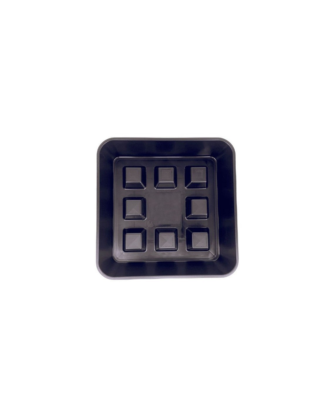 Plato Cuadrado Elevado 50 Uds