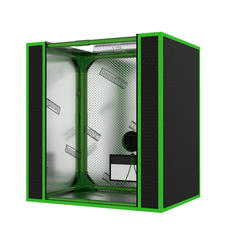 Dark Box Mini