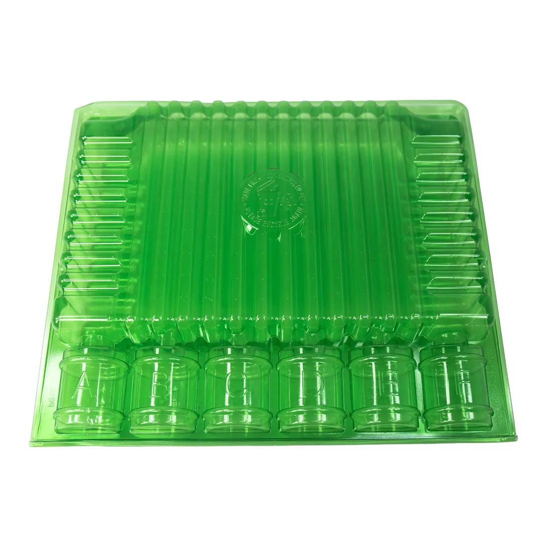 Blister para Transporte de Esquejes