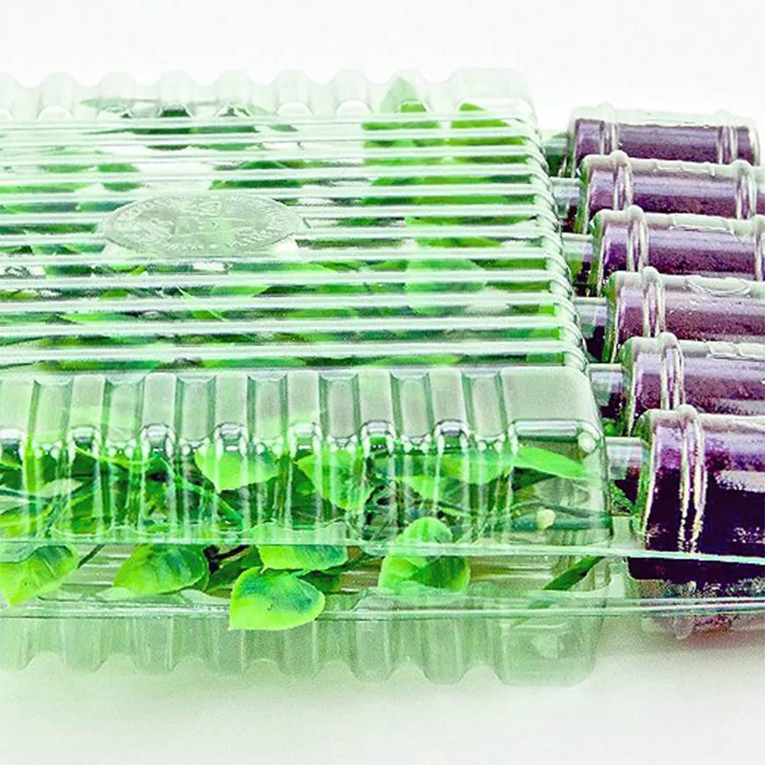 Blister para Transporte de Esquejes