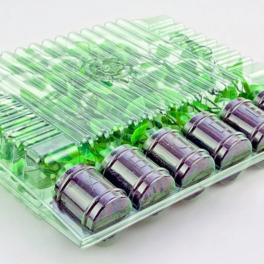 Blister para Transporte de Esquejes