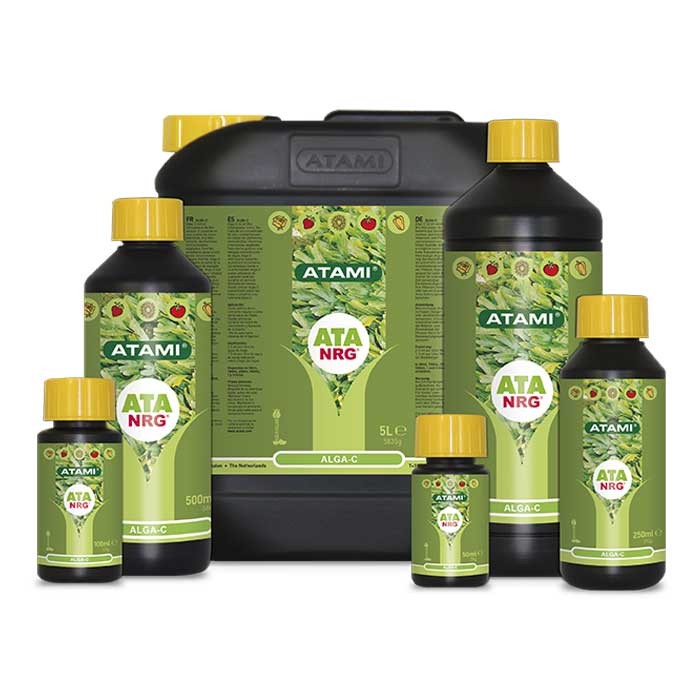 ATA NRG Alga-C Atami