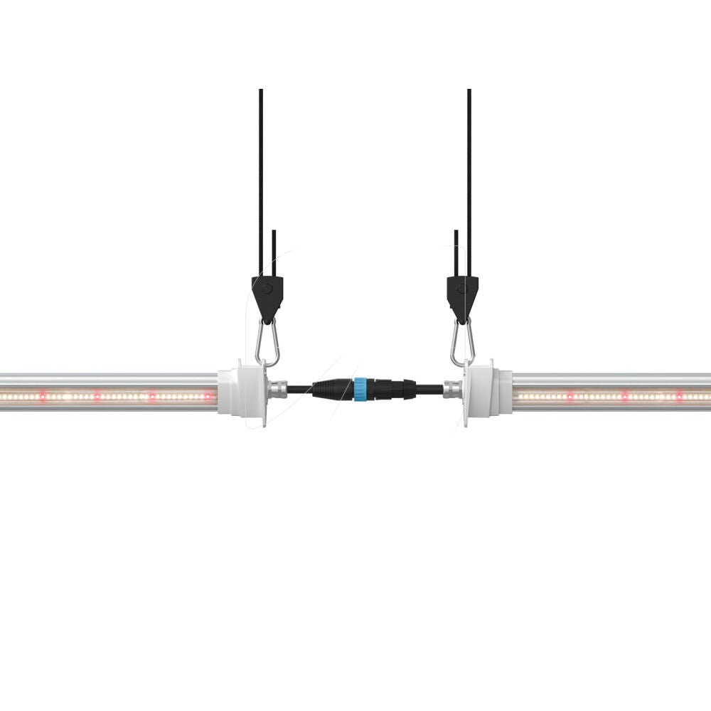 Inter Canopy LED Solux 120W