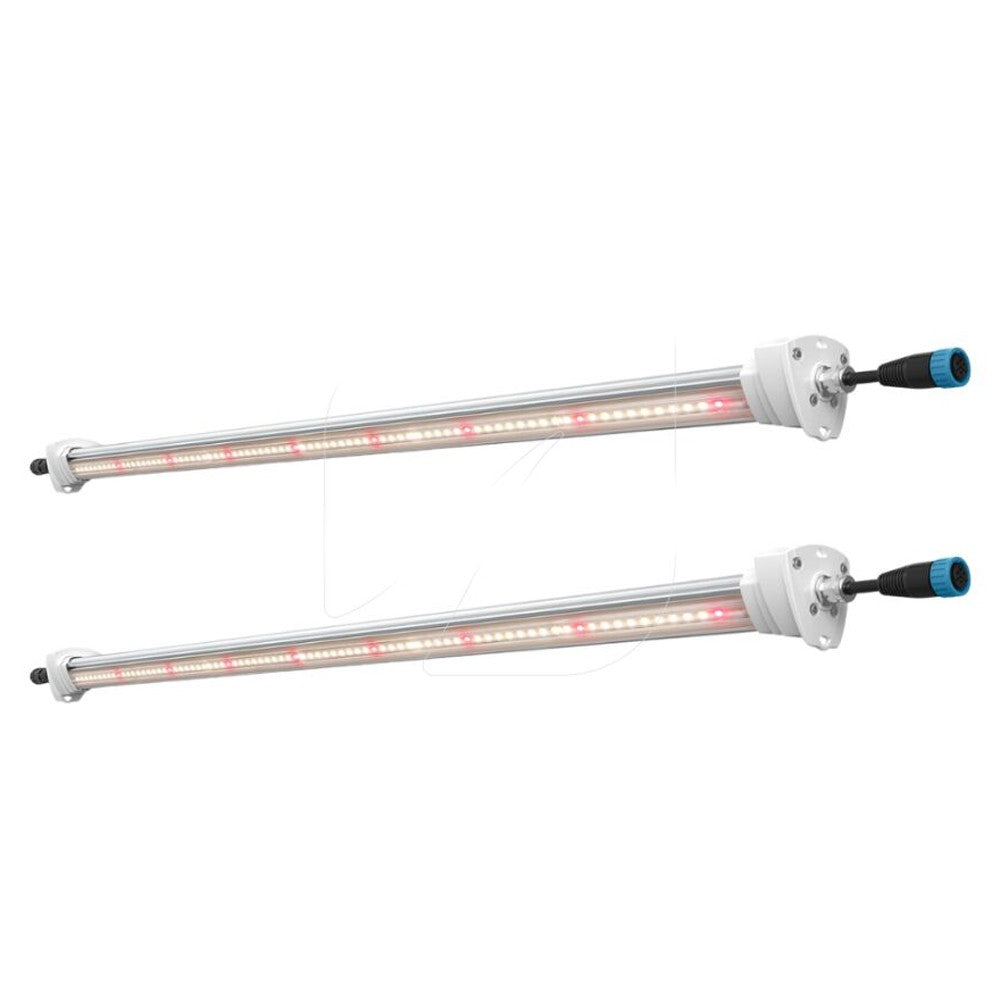 Inter Canopy LED Solux 120W