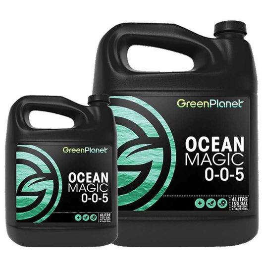 OCEAN MAGIC